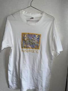 Tシャツ アートT シングルステッチ FRUIT OF THE ROOMのサムネイル