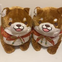 限定SALE忠犬もちしば おかか 10周年ででーんと超BIGぬいぐるみ2個セット