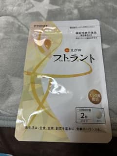 フトラント　31日分のサムネイル