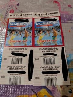 LSTF様専用！！ナガシマプール入場券！値下げ！のサムネイル