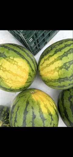 《長野県産》売りつくし訳ありスイカ5Lのサムネイル