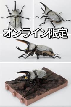 カブトムシ様限定 m74857769059_1.jpg?1780682971