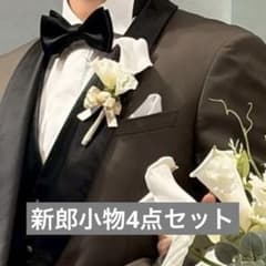 ✳︎値下げ承り✳︎新郎小物4点セットサスペンダー アームバンドポケットチーフグローブのサムネイル