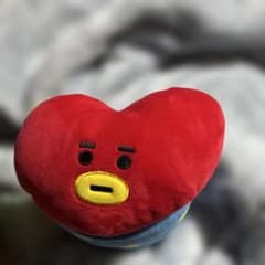 BT21 TATA Mini Pillow
