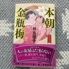 本朝金瓶梅のサムネイル