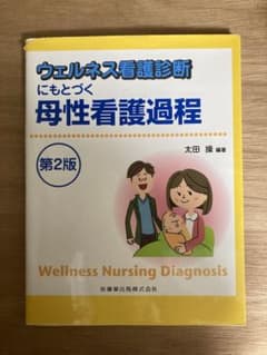 ウェルネス看護診断にもとづく母性看護過程のサムネイル