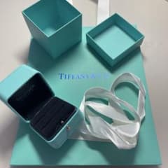 Tiffany & Co. ペアリングケース 箱袋セット ティファニー 結婚指輪