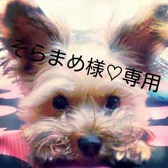 そらまめ様♡専用のサムネイル