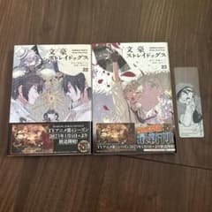 【おまけ付き】文豪ストレイドッグス 22 23巻のサムネイル