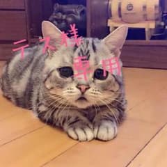 テス様専用☆のサムネイル