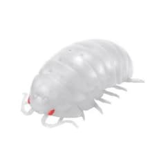 ばんだいだんごむし アルビノだんごむしのサムネイル