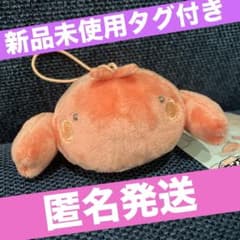 なんでもいきもの おふろでほかほか マスコット　えび　ぬいぐるみ