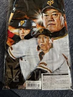 千葉ロッテ 交流戦タオルのサムネイル