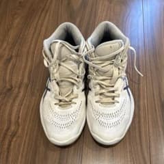 ASICS GEL-HOOP basketball shoes, size 27.5cm