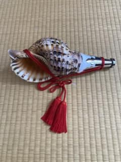 ゴールデンウィーク限定価格❗️特大修験道法螺貝　赤紐付き　41.5㎝　山伏　魔除け 修験道 山伏 法螺貝 飾り紐付き - メルカリ