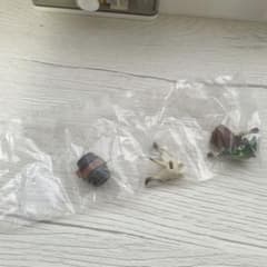 아이루 컬렉션 도토리 고양이 몽한 가샤폰