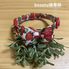 bosatu/プロフお読みください様専用のサムネイル
