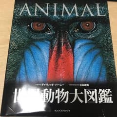 世界動物大図鑑のサムネイル