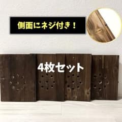 【中株サイズ】ビカクシダ 着生板 4枚セット 側面ネジ付き　20×15cm #5のサムネイル