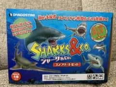シャーク＆co   コンプリートセットのサムネイル