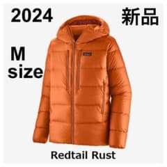 patagonia パタゴニア　フィッツロイ　ダウンフーディーのサムネイル
