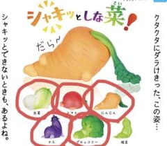 Qualia シャキッとしな菜！5種セットのサムネイル