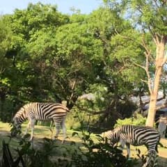 ユズ様 専用のサムネイル