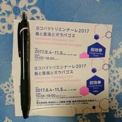 ヨコハマトリエンナーレ2017招待券 チケットのサムネイル