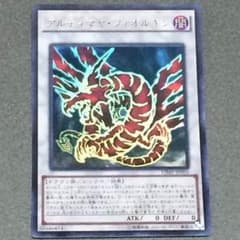 アルティマヤ・ツィオルキンのサムネイル