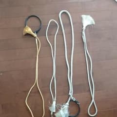 日本犬保存会など展覧会のリードのサムネイル