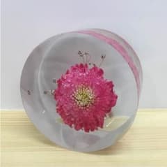 永遠の花「アスター」のサムネイル