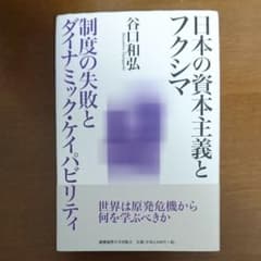日本の資本主義とフクシマ : 制度の失敗とダイナミック・ケイパビリティのサムネイル
