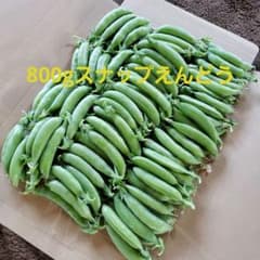 新鮮 スナップエンドウ 産地直送　800g ネコポスのサムネイル