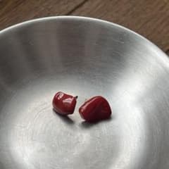 【最終値下げ】su Ha 赤サンゴ　ピアス 最終値下げ】su Ha 赤サンゴ ピアス - メルカリ