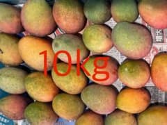 【訳あり】沖縄県産マンゴー10kg・緑多め・糖度低めのサムネイル