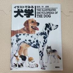 イラストでみる犬学のサムネイル