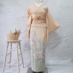 訪問着 フルセットa763C⭐︎卒業式 入学式 お宮参り 七五三 結婚式