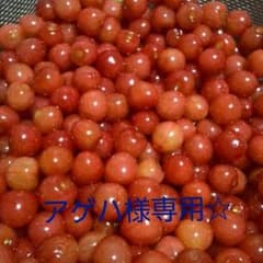 下まつげ用つけまつげ♪のサムネイル