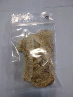 蛇の脱け殻 蛇皮 脱皮のサムネイル