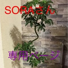 マタニティ服のサムネイル