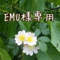 EMU様専用のサムネイル