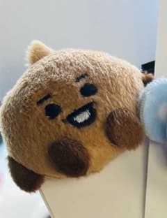 BT21 ぬいぐるみバッジのサムネイル