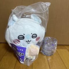 치이카와 에니마이 복권 모몬 가셋트