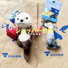限定】 鳥羽水族館 ラッコ キーホルダー 2種 - メルカリ