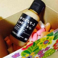 LUSHのサムネイル
