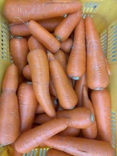 茨城県産　人参(愛紅)15kgのサムネイル