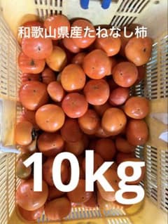 【農家直送】和歌山県産　たねなし柿　訳あり規格外品10kg 中谷早生　刀根早生のサムネイル
