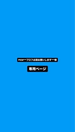 PKM様 専用ページのサムネイル