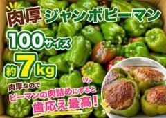 農家直送！肉厚ジャンボピーマン100サイズ約7kgのサムネイル