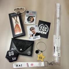 美品 お得 EXO KAI カイ グッズセットのサムネイル